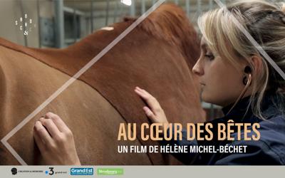 Aperçu de 'Au coeur des bêtes'