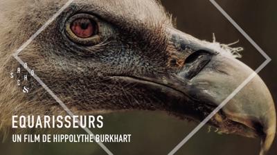 Aperçu de 'EQUARRISSEURS'