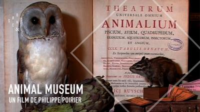 Aperçu de 'Animal Museum'